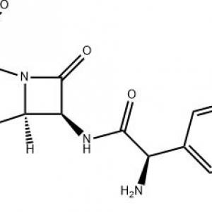 Amoxicillin