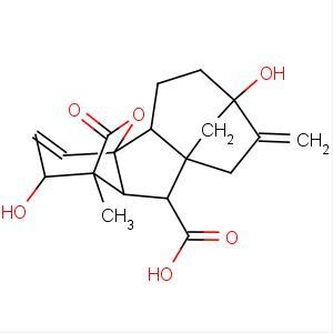 Ginkgo Biloba Extract
