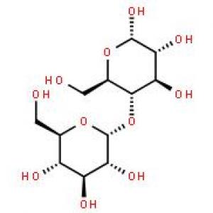 Pregelatinized Starch
